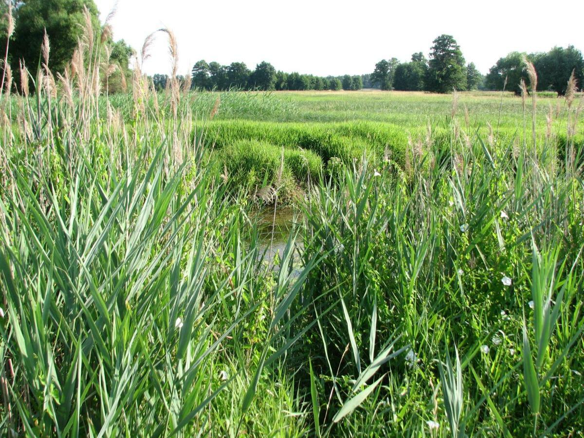 Strefa Kampinos Brochów Exterior foto