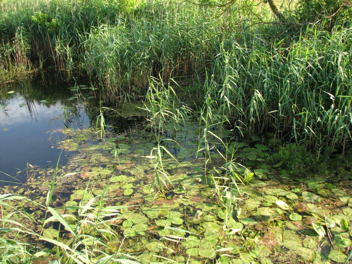 Strefa Kampinos Brochów Exterior foto
