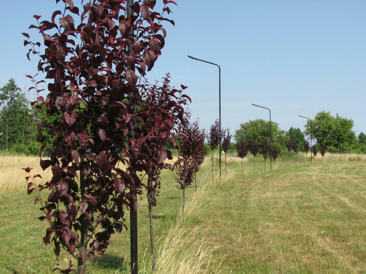 Strefa Kampinos Brochów Exterior foto