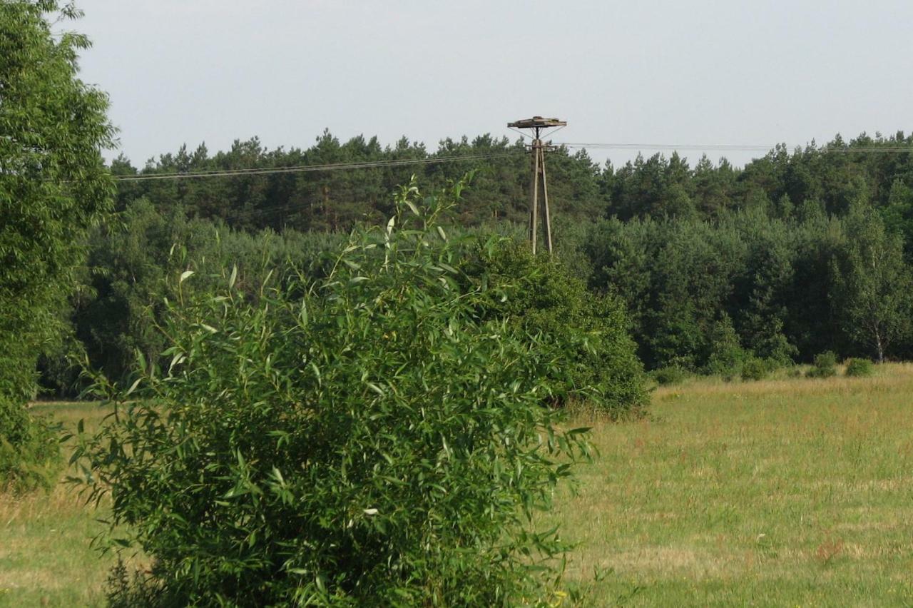 Strefa Kampinos Brochów Exterior foto